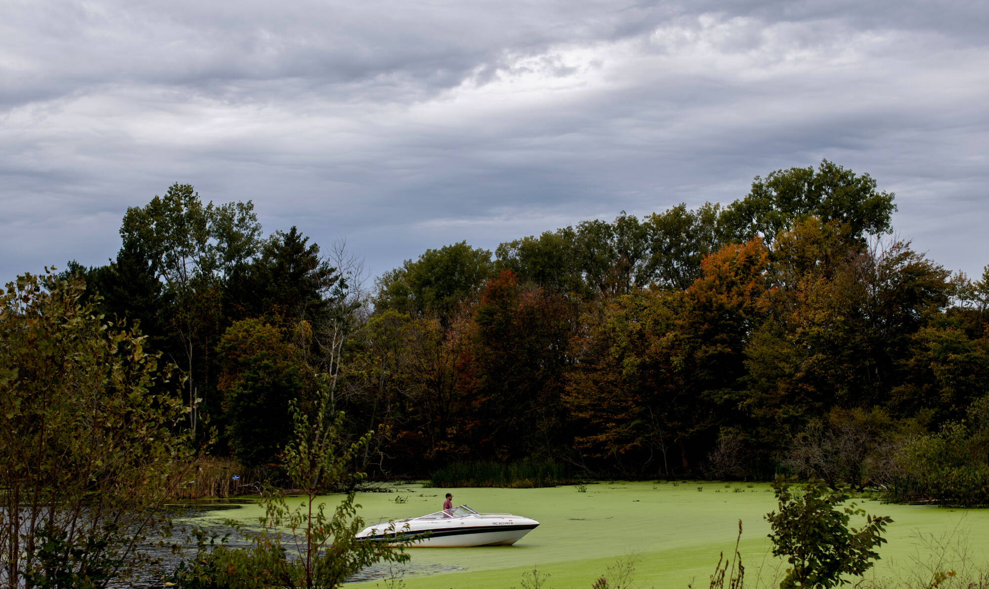 a boat on a small lake with green water surrounded by trees with fall colors